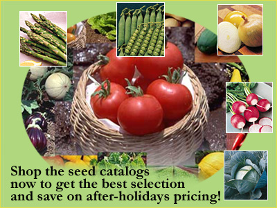 start shopping the seed catalogs for the best selection and prices