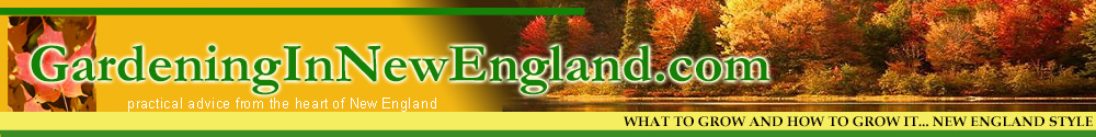 new england gardening how to grow plants annuals perennials