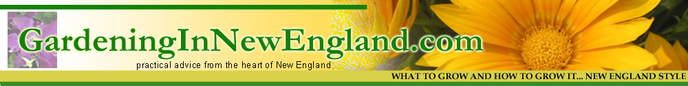 new england gardening how to grow plants annuals perennials