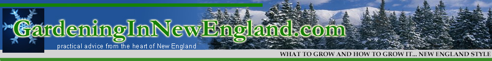 new england gardening how to grow plants annuals perennials