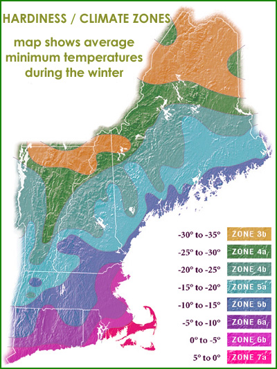 hardiness zones in new england
